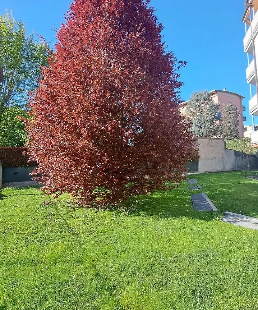 Apartment Mxp Milan Como Lakes Free Parking! Castellanza Italie