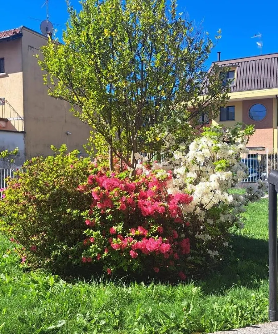 Apartment Mxp Milan Como Lakes Free Parking! Castellanza 0*,  Italie